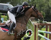 Levy Belle Rock CsioArJYR SS7 8424 : Belle Rock, CSIO Giovani Arezzo, Levy Edward, foto Stefano Secchi ©